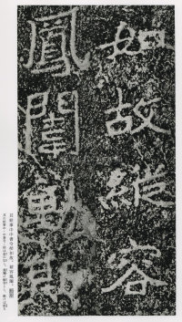 郑文公碑 - 第110页