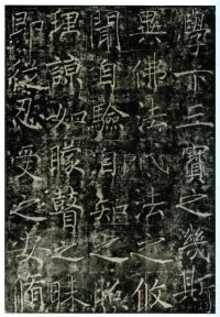 信行禅师碑 - 第25页