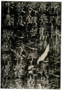 信行禅师碑 - 第14页