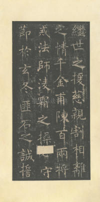孟法师碑 - 第10页