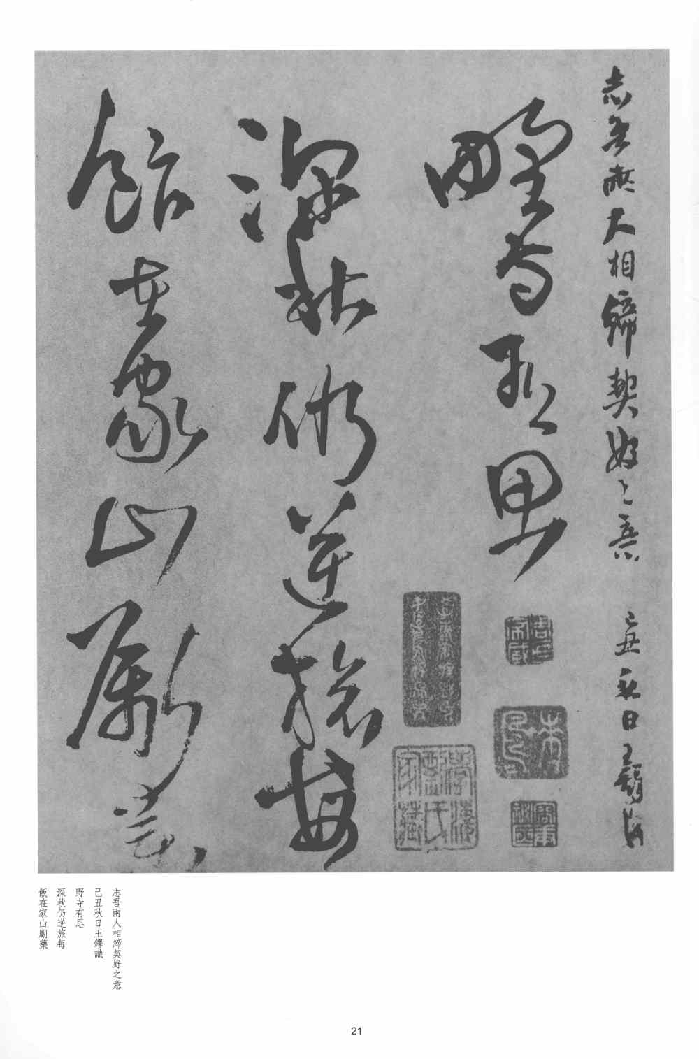 野寺有思 - 第1页