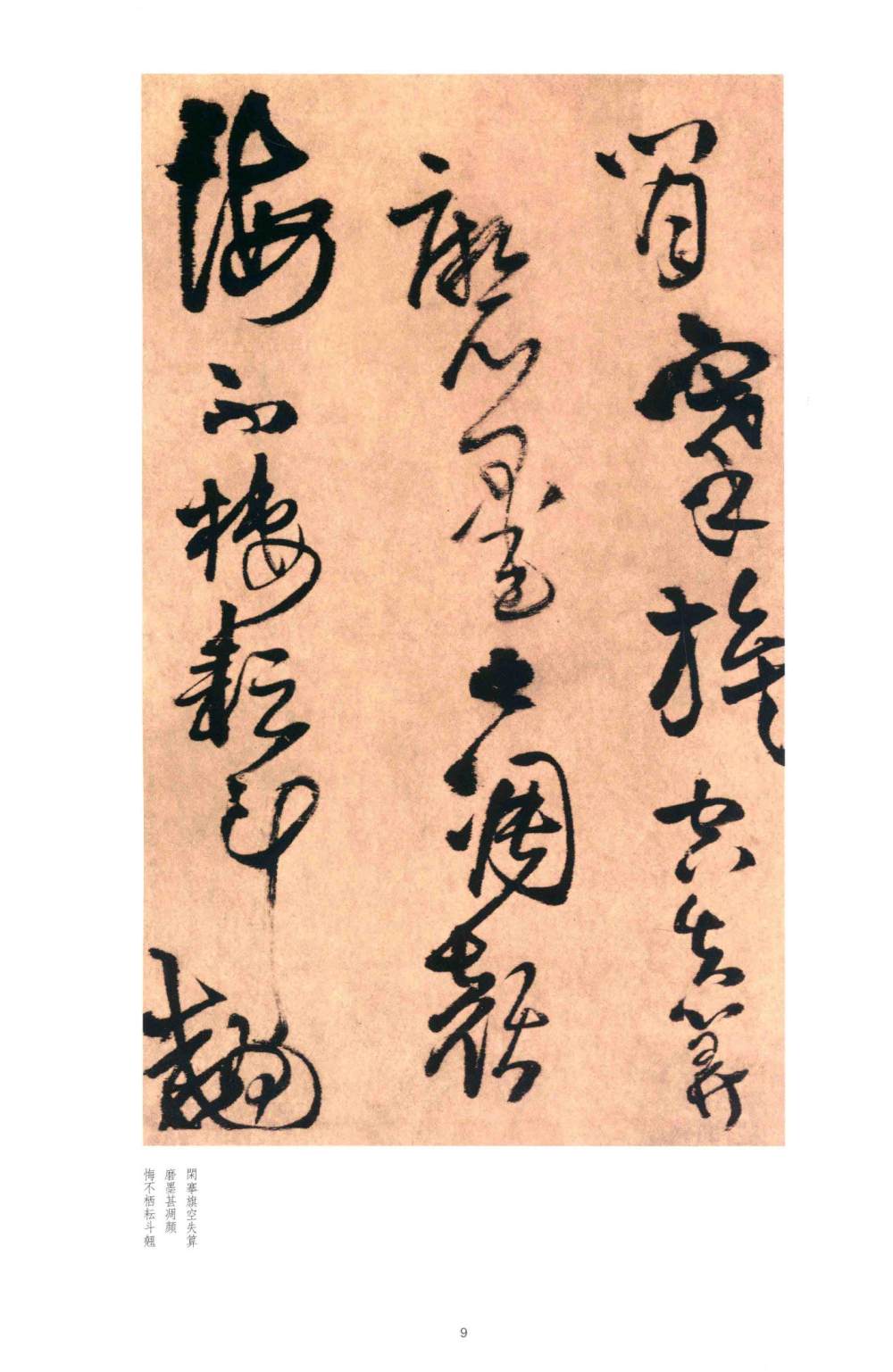 别千顷忽遘 - 第5页