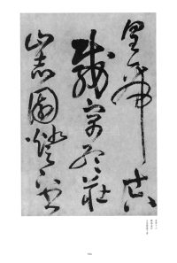 赠郑公度草书诗卷 - 第27页