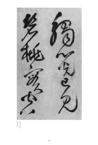 赠郑公度草书诗卷 - 第8页