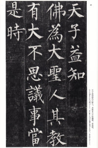 玄秘塔碑 - 第23页