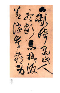 别千顷忽遘 - 第13页