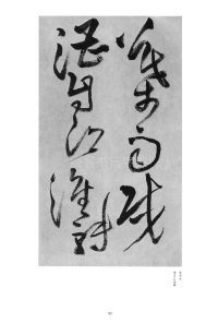 赠郑公度草书诗卷 - 第15页