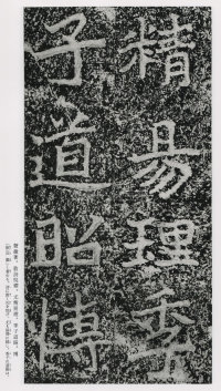 郑文公碑 - 第88页