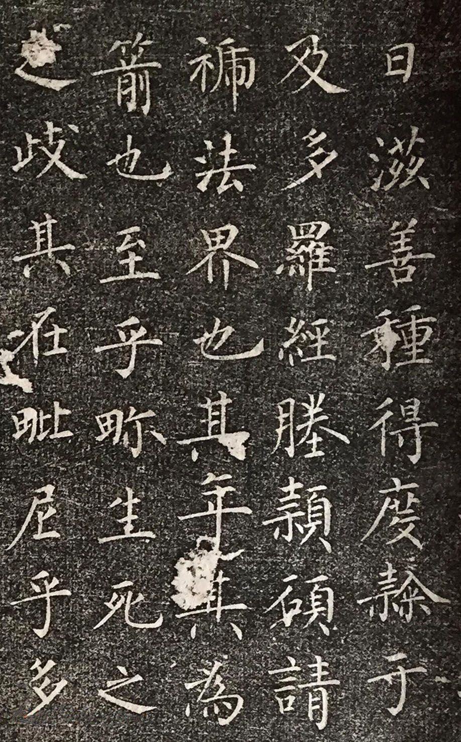 福林寺戒塔铭 - 第5页