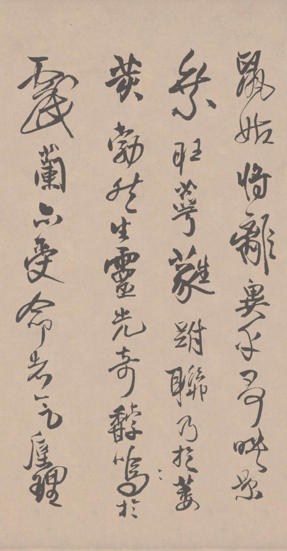 跋枯兰复花图 - 第5页