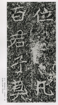 郑文公碑 - 第126页