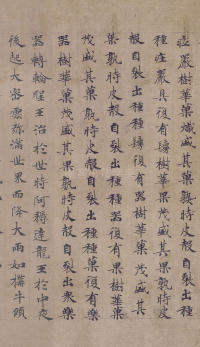 转轮圣王经 - 第17页