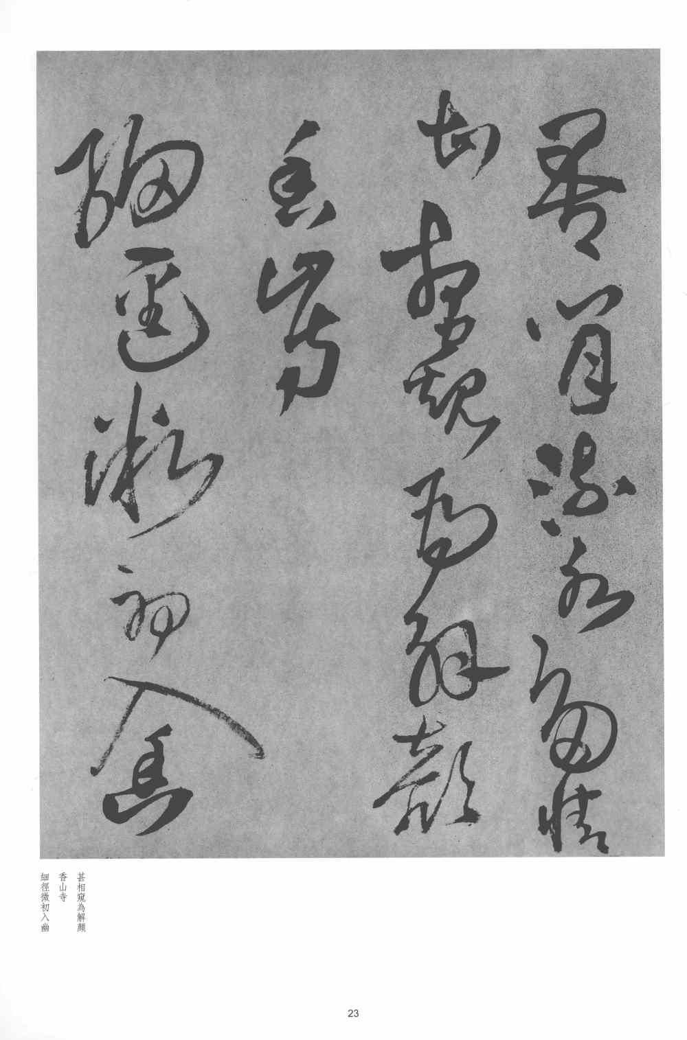 野寺有思 - 第3页