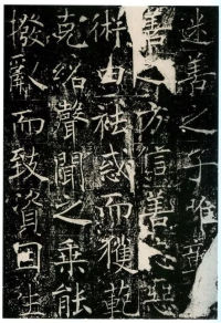 信行禅师碑 - 第23页