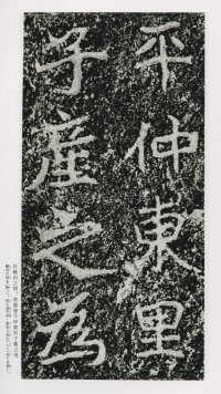 郑文公碑 - 第54页