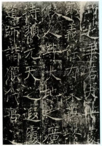 信行禅师碑 - 第21页