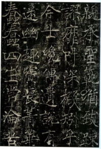 信行禅师碑 - 第15页