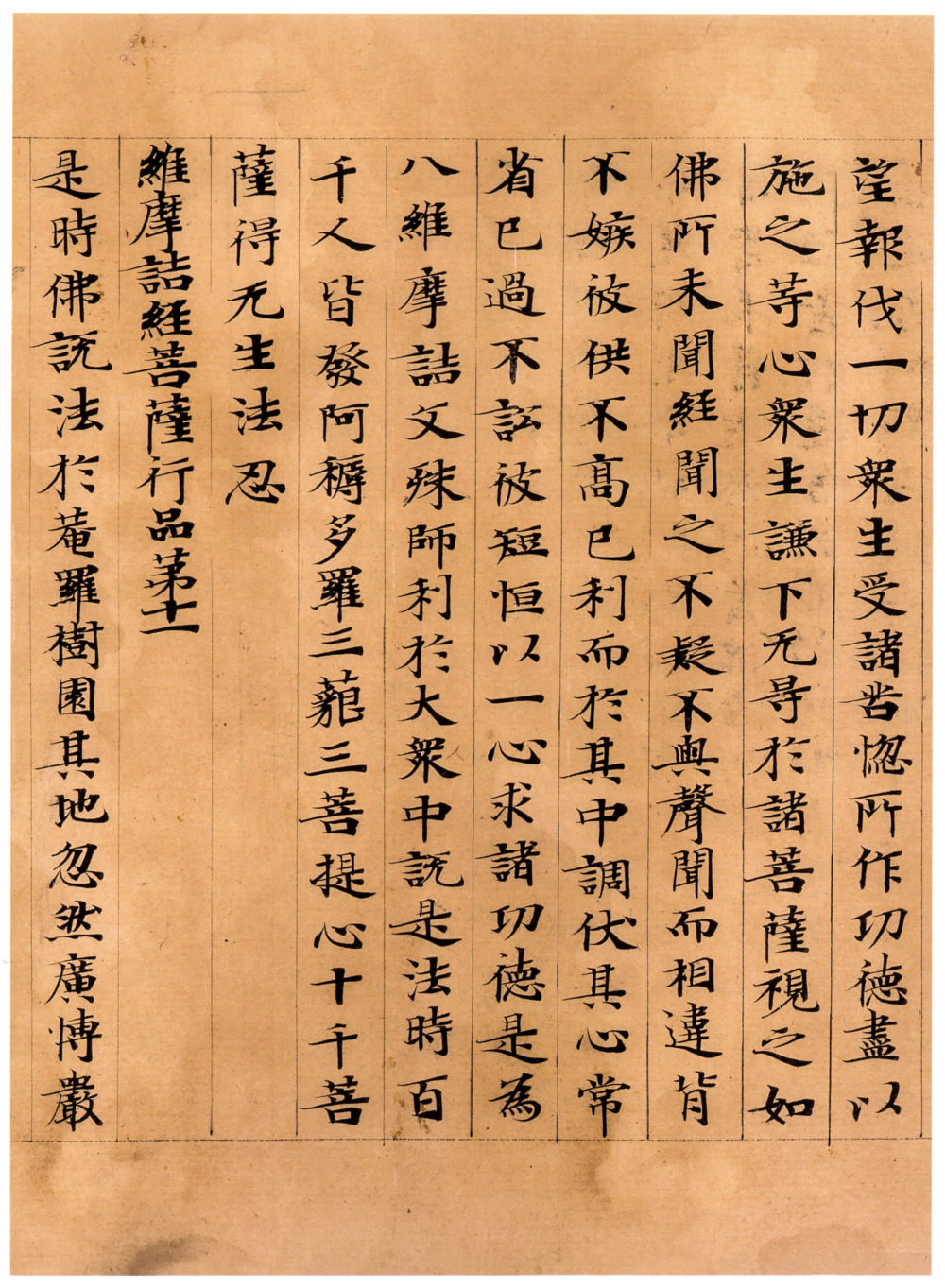 维摩诘经康有为藏本 - 第5页