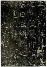 信行禅师碑 - 第26页