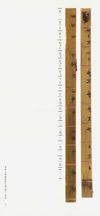 清华简-三 - 第47页