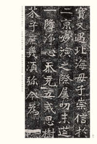 龙门二十品-版本之二-下 - 第46页