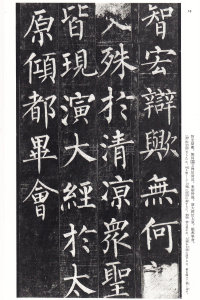 玄秘塔碑 - 第17页