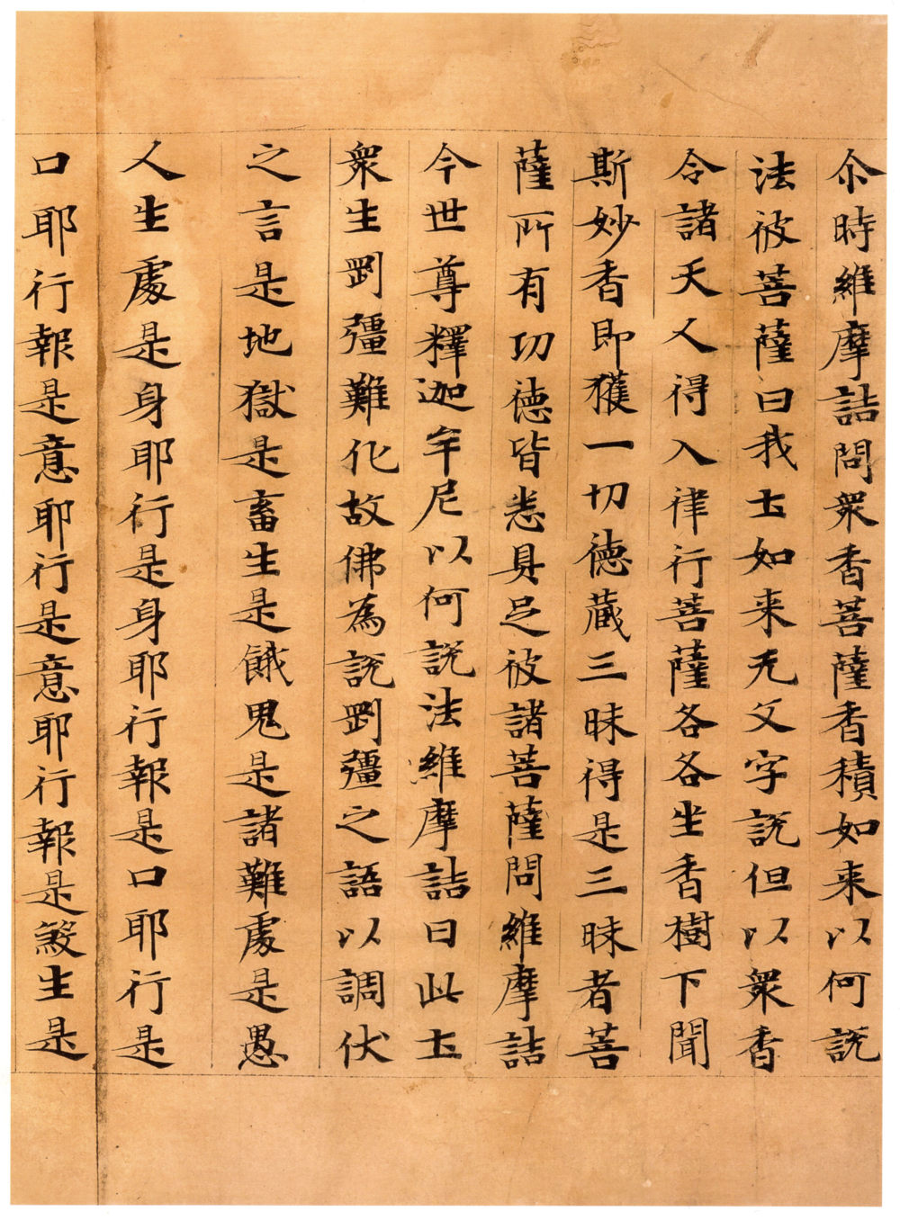 维摩诘经康有为藏本 - 第1页