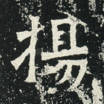 杨