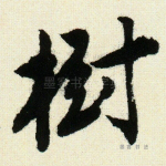 树