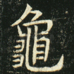 龟