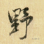 野