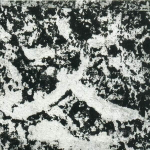 文