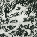 矣
