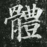 体
