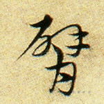 臂