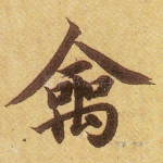 禽