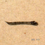 一