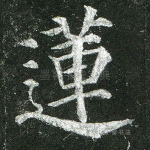 莲