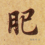 肥
