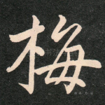 梅
