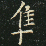 隼