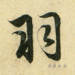 羽