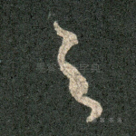 之