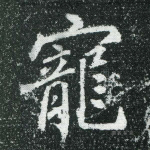 宠