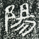 阳
