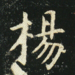 杨