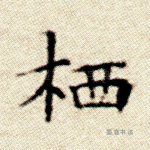 栖
