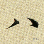 八