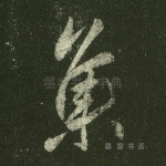 集