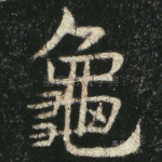 龟